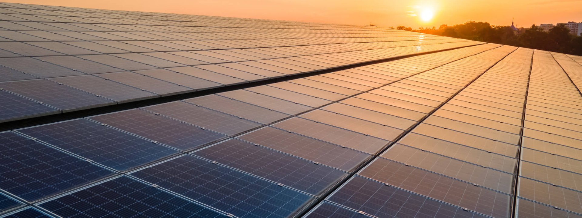Sustainable Solar & Agricultural Solutions